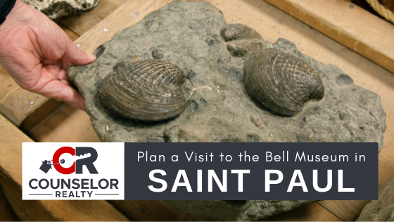 Bell Museum - St. Paul, MN - Counselor Realty